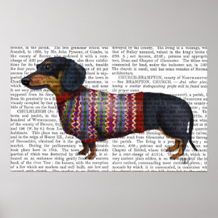 Póster Dachshund Con Suéter Lana