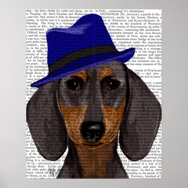 Póster Dachshund Con Trilby Azul (Frente)