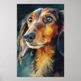 Póster Dachshund de pelo largo en primer plano