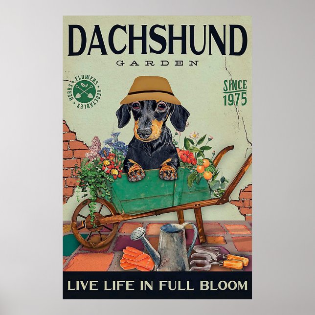 Póster Dachshund Gardening regalo de citas graciosas (Frente)