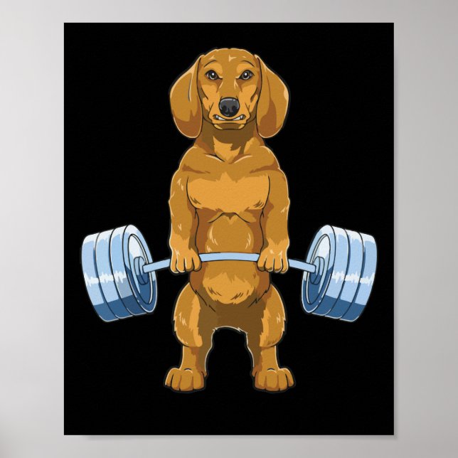 Póster Dachshund Halterofilia Gimnasio de levantamiento d (Frente)
