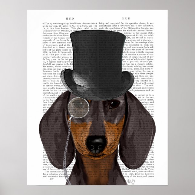 Póster Dachshund, hound formal y Gorra (Frente)