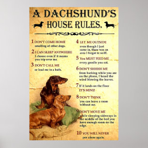 Póster Dachshund House regula el regalo Poster para hombr