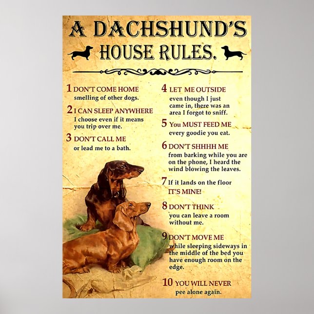 Póster Dachshund House regula el regalo Poster para hombr (Frente)
