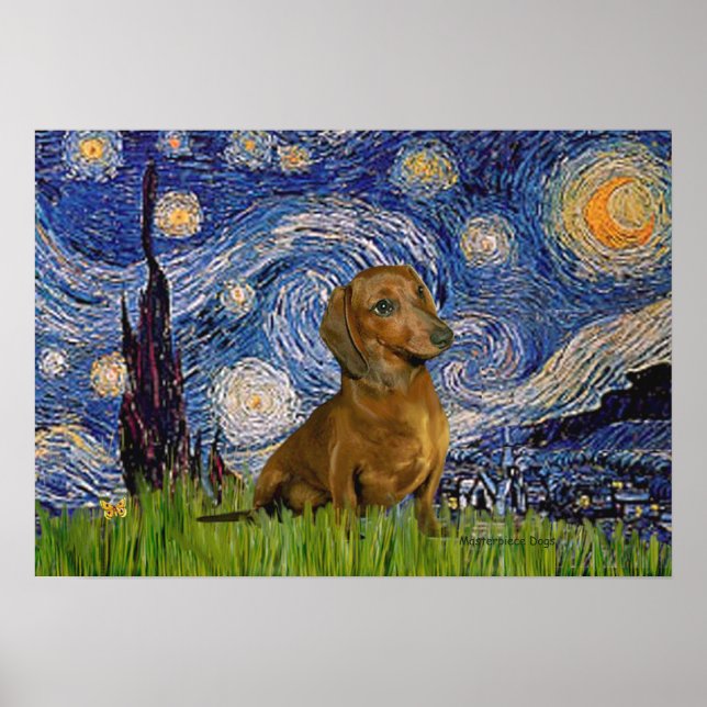 Póster Dachshund (Marrón1) - Noche estrellada (Frente)