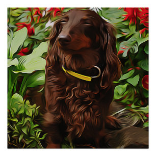 Póster Dachshund Marrón Sentado En El Jardín Con Flor
