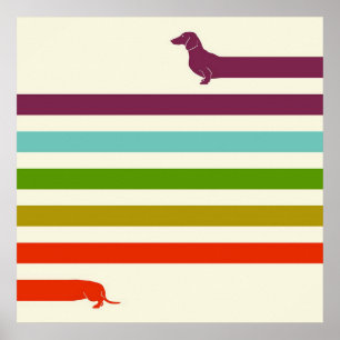 Póster Dachshund Muy Largo Colorido   Amante del Husky 