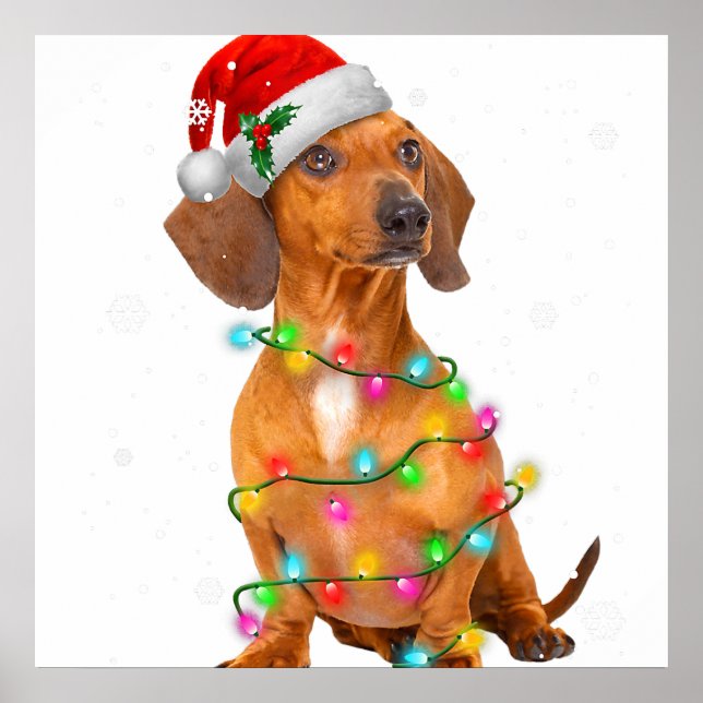 Póster Dachshund Perros Árboles Navidades Sweater Xmas Re (Frente)