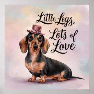 Póster Dachshund Piernas de amor