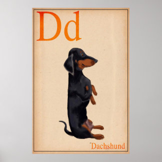 Póster Dachshund Poster