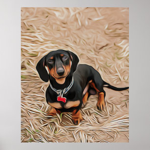 Póster Dachshund Puppy Looks At The Camera