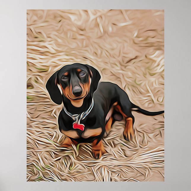 Póster Dachshund Puppy Looks At The Camera (Frente)