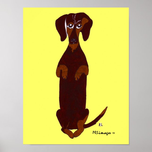 Póster Dachshund Sidney Print (Frente)