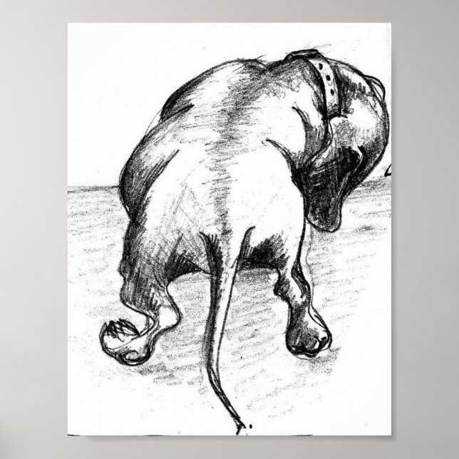 Póster Dachshund sketch (Frente)