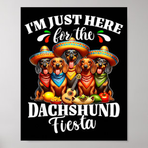Póster Dachshund solo aquí por cinco de mayo dachshund