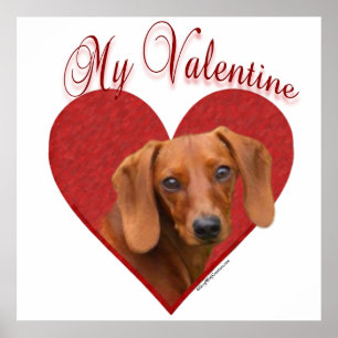 Póster Dachshund suave mi Poster de San Valentín