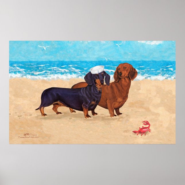Póster Dachshunds en la playa (Frente)