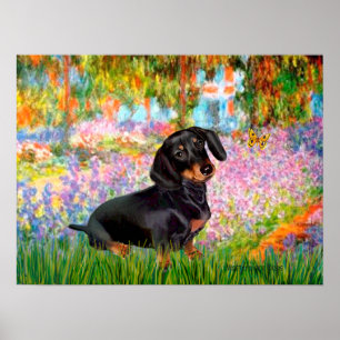 Póster Dacshund (negro y canela 16) - Jardín