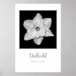 Póster 'Daffodil'
