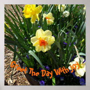 Póster Daffodil amarillo