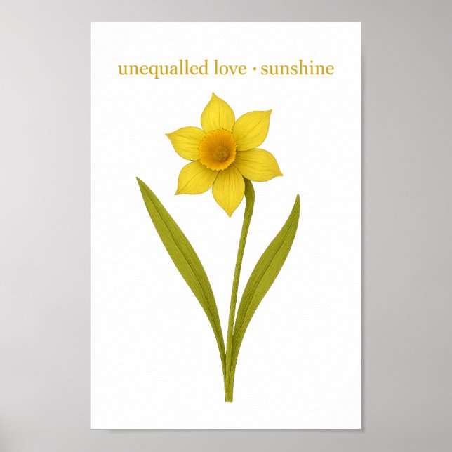 Póster Daffodil — Amor incomparable, sol (Frente)