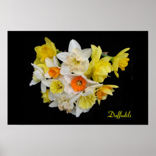 Póster Daffodils