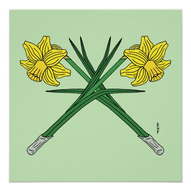 Póster Daffodils Crossed (Anverso)