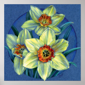 Póster "Daffodils - las alegrías de la primavera" poster 