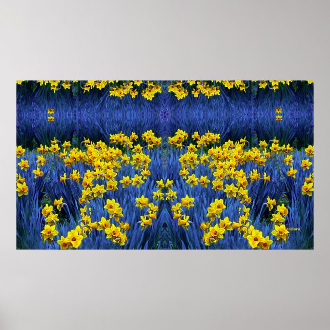 Póster Daffodios reflectantes (Frente)