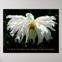 Dahlia Blanca llorosa, cita inspiradora