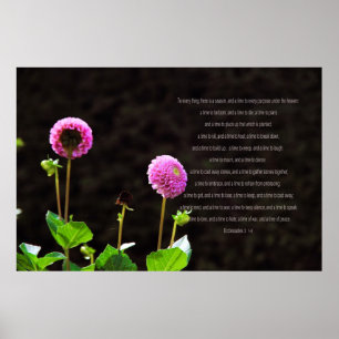 Póster Dahlia con eclesiastes versos
