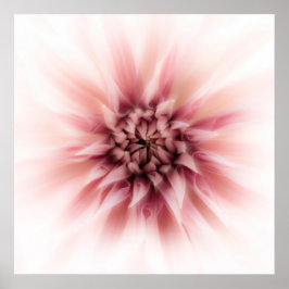 Póster Dahlia Dream