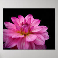 Dahlia Figurine Pink