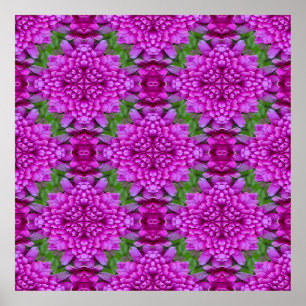 Póster Dahlias....