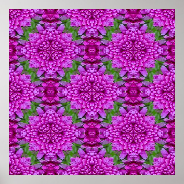 Póster Dahlias.... (Frente)