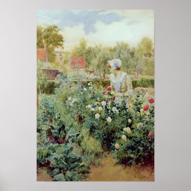 Póster Dahlias, 1896 (Frente)