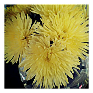 Póster dahlias amarillas