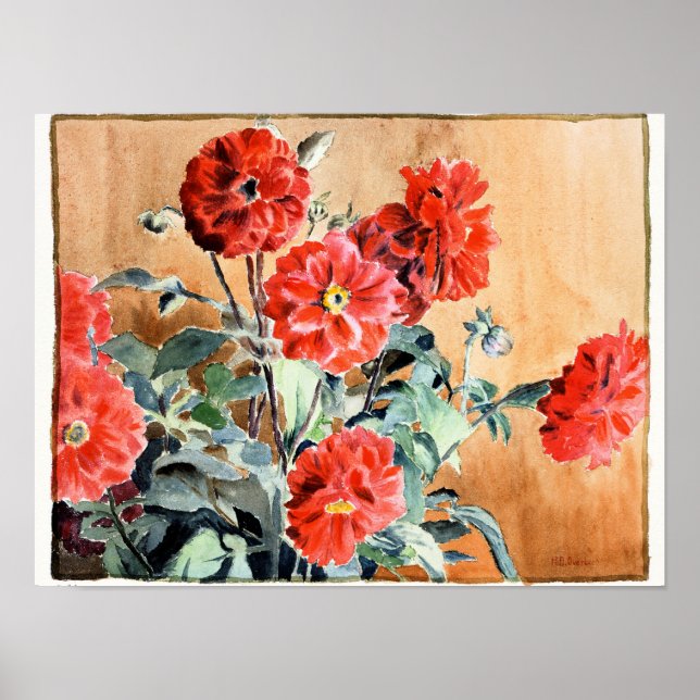 Póster Dahlias, pintura de acuarela botánica (Frente)