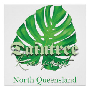 Póster Daintree Rainforest