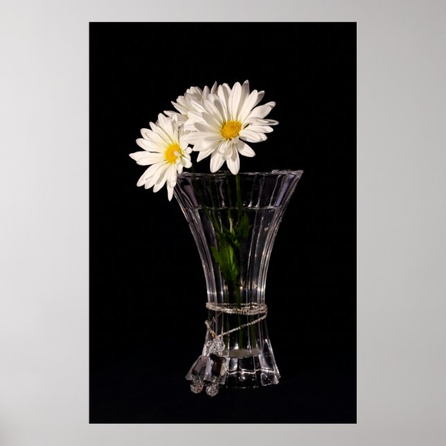 Póster Daisias Blancas En Vase (Frente)