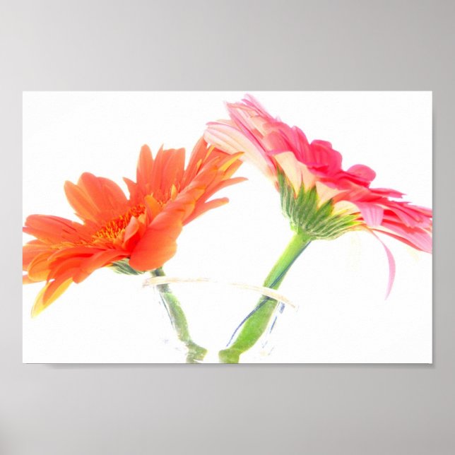 Póster Daisies (Frente)