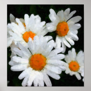 Póster Daisies