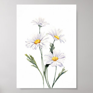 Póster Daisies acuarela