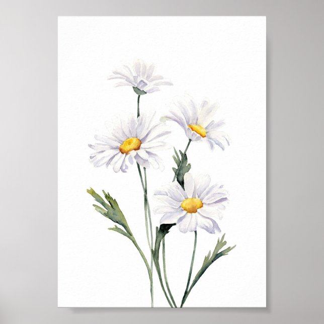 Póster Daisies acuarela (Frente)