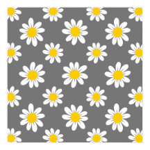 Daisies amarillos blancos