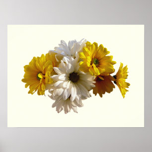 Póster Daisies blancos y amarillos