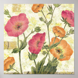 Póster Daisies coloridos