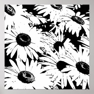 Póster Daisies en blanco y negro