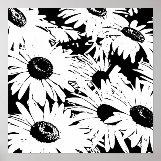 Póster Daisies en blanco y negro (Frente)