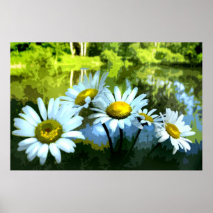 Póster Daisies en el estanque